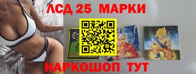 apvp Бердск