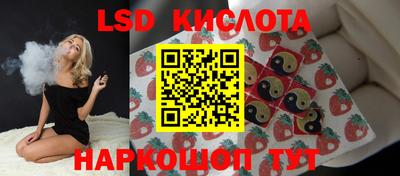 apvp Бердск