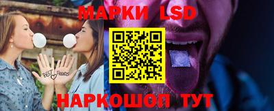 apvp Бердск