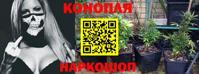 гидра Белореченск