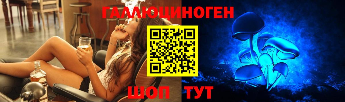 Галлюциногенные грибы Psilocybine cubensis  Вход с VPN  Галлюциногенные грибы мицелий  Богданович 